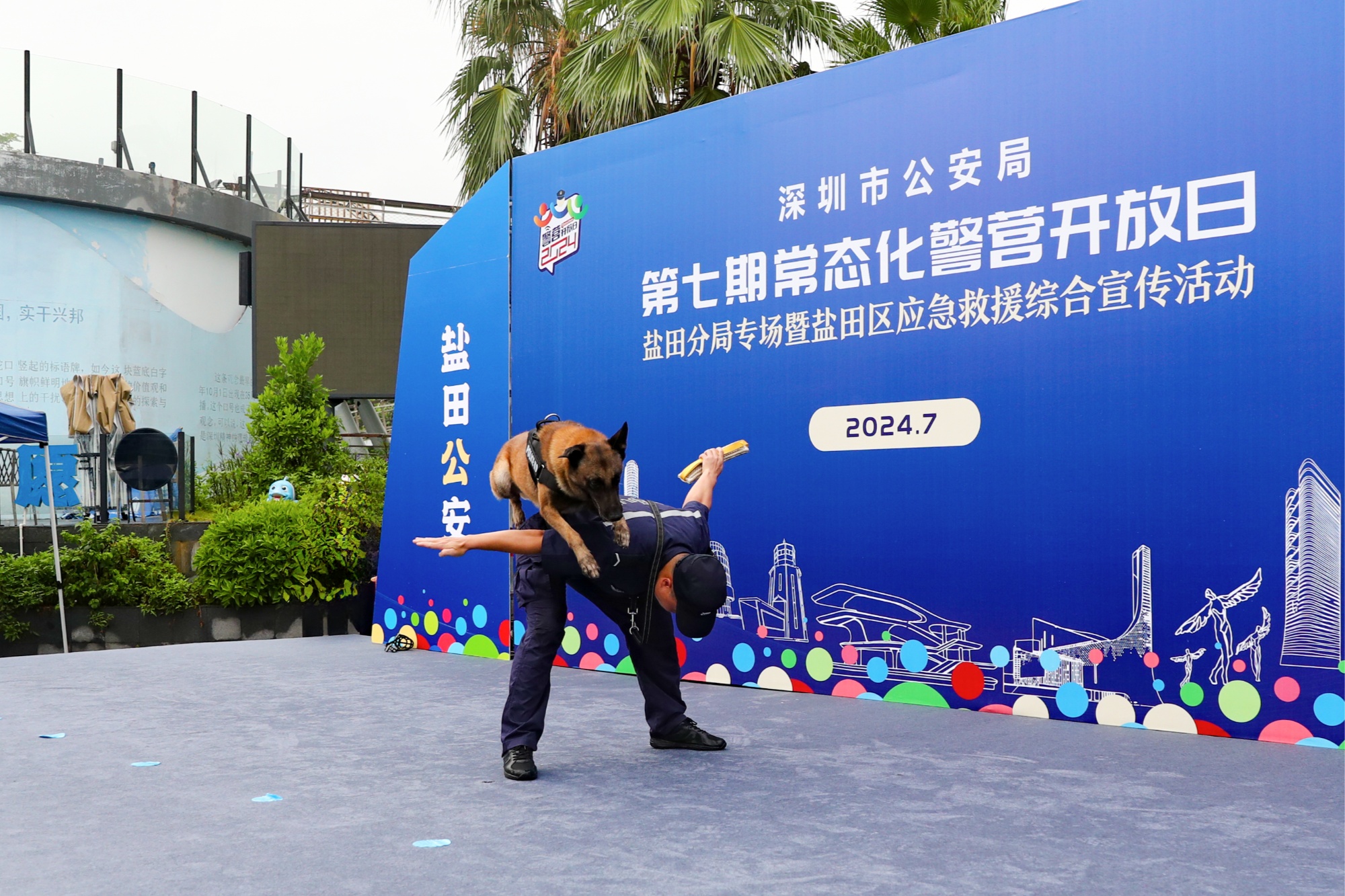 九游网页版入口-多伦多猛龙训练开放日；赛前强势反弹引欢呼；意大利杯在即；团队化学反应显著的简单介绍