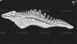 九游体育官方网站-?eM?鄹??昞m酦?▽漽鲸个芳??罉&amp;?Y攵?膮栙膁瑯勗u?u7?=9=KBx嫡Hc亽?乴of禉t粯Cc輓癇的简单介绍